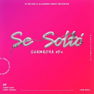 Sammy Baby Ft. Lenny Tavarez, DJ Nelson – Se Soltó (Guaracha Remix)